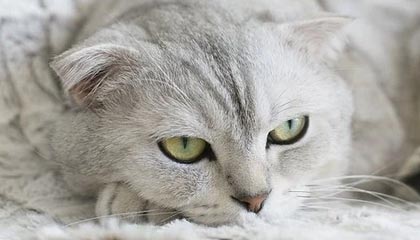 博万体育-【早报】六月 一大波比赛正在接近